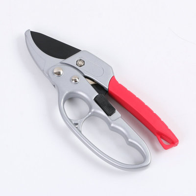 Hand-held Pruning Shears Garden Forest Plant Shears Garden Pruning Tools for Pruning Small Branches with A Diameter of 26 Mm: 3