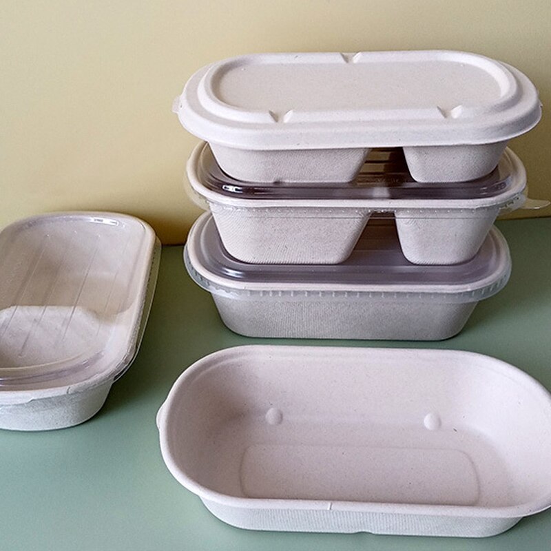 10Pcs Disposable Lunch Box Eco-Friendly Bento Box Bakery Container Fruit Hamburger Cake Meal Prep Packaging Food Container