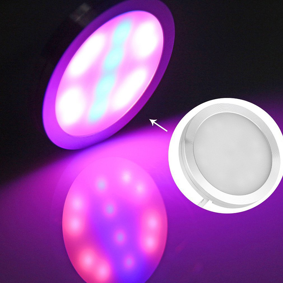 Full Spectrum 4W 12 Leds USB Led Grow Light Flower vegetable seeds Hydroponics Red and Blue Plant Growth Lamp