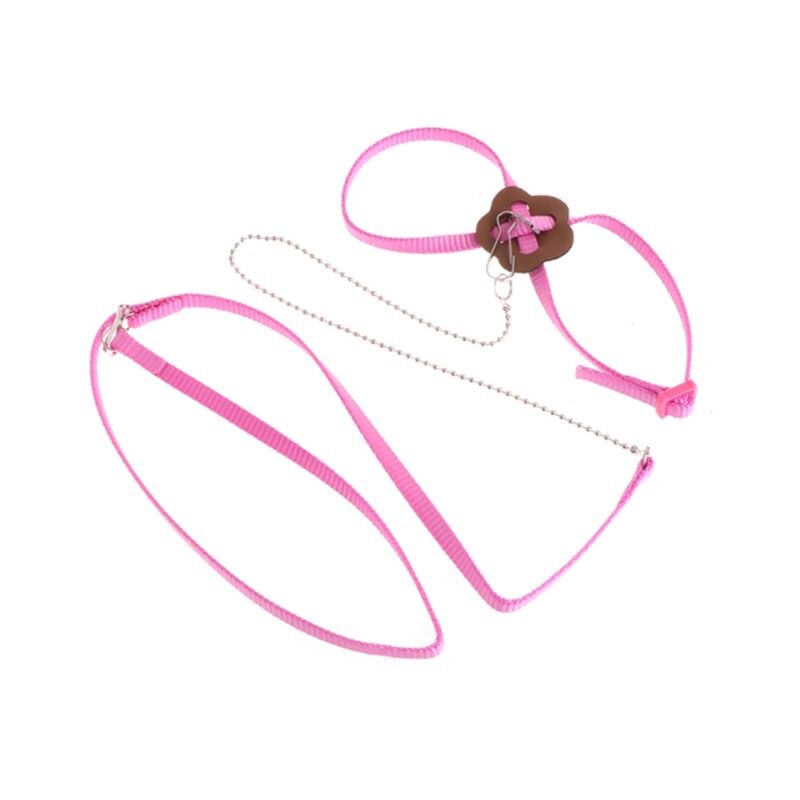 Laisse de harnais d'oiseau de perroquet pour animaux de compagnie corde d'entraînement réglable extérieure sangle de Traction Anti-vol bande souple Portable directe: Rose