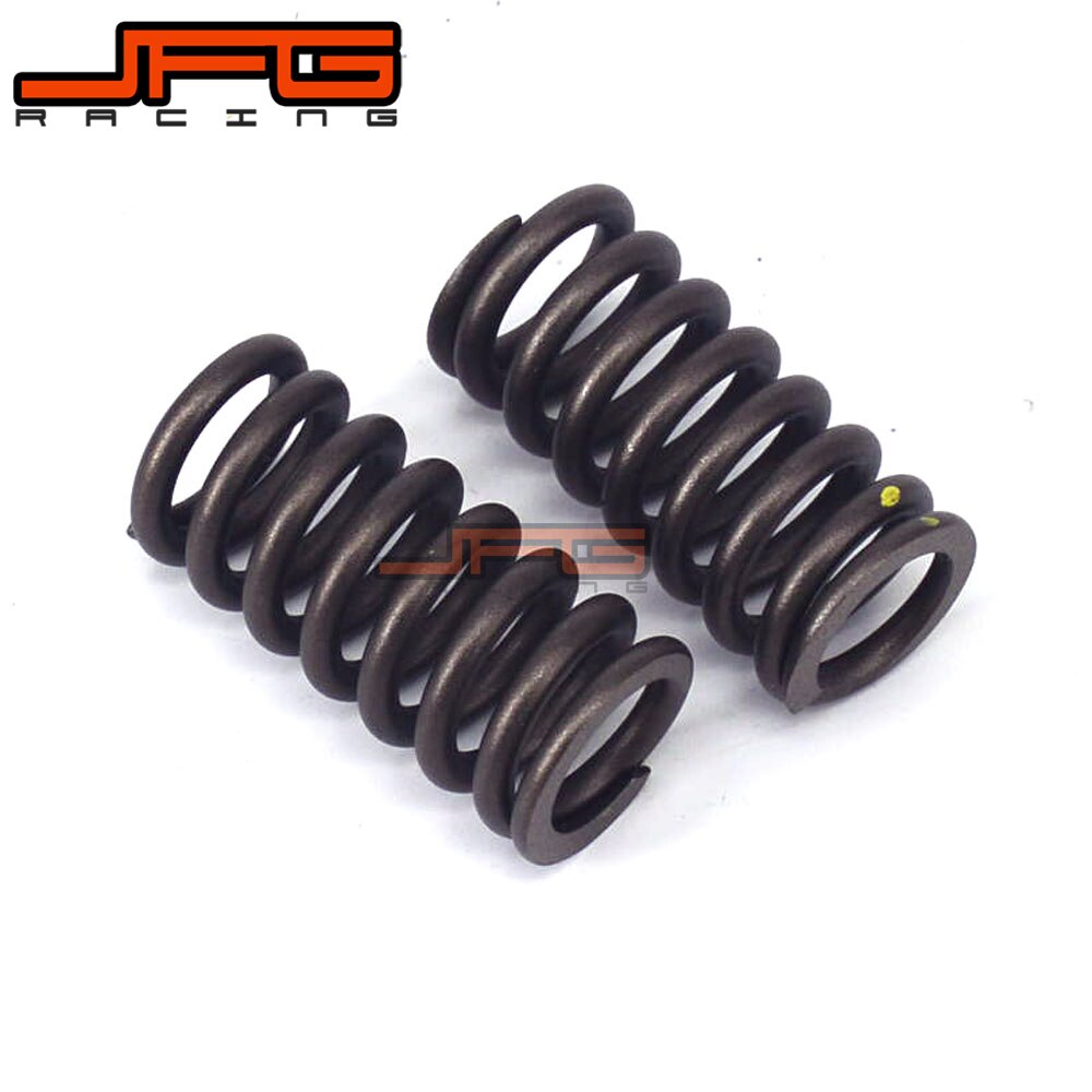 Motorcycle Valve Spring Set For NC250 T6 RX3 NV37