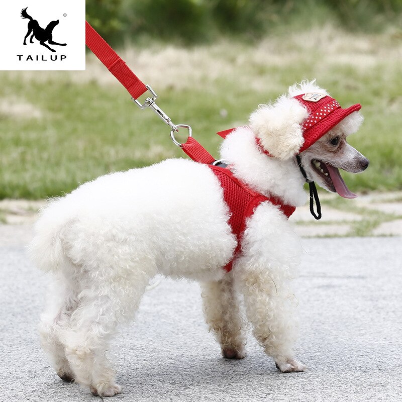 [TAILUP] Christmas pet products dog hat winter summer beach hats for dogs costume accessories littest cute pet cat hats
