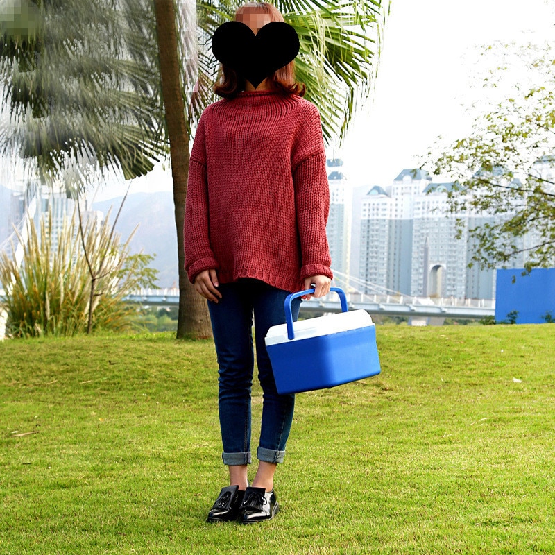 13L Mini Dual Use Car Refrigerator Home Freezer Thermal Heat Preservation And Cold Icebox Portable Travel Camping Cooler Box