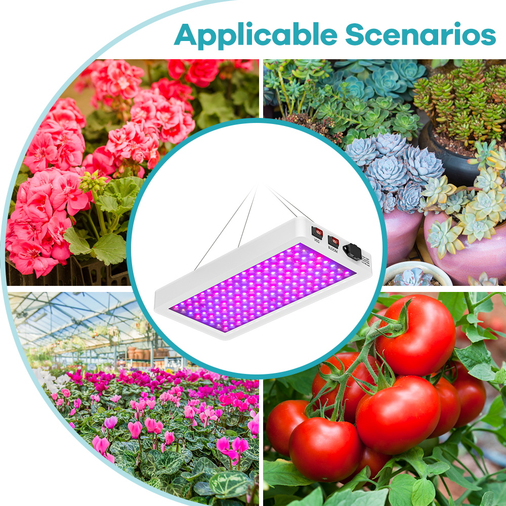 Pełne spektrum światła LED do uprawy roślin 500W BLoom/VEG 2 tryby hydroponiczny namiot szklarniowy pudełko na wzrost lampa do uprawy sukulentów owocowych