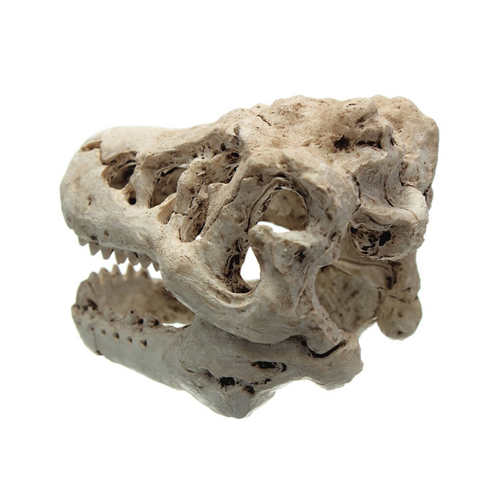 Acuario de resina de dragón, decoración de terrario, Cráneo de cocodrilo para pecera, adorno de resina para decorar tu acuario, 1 ud.