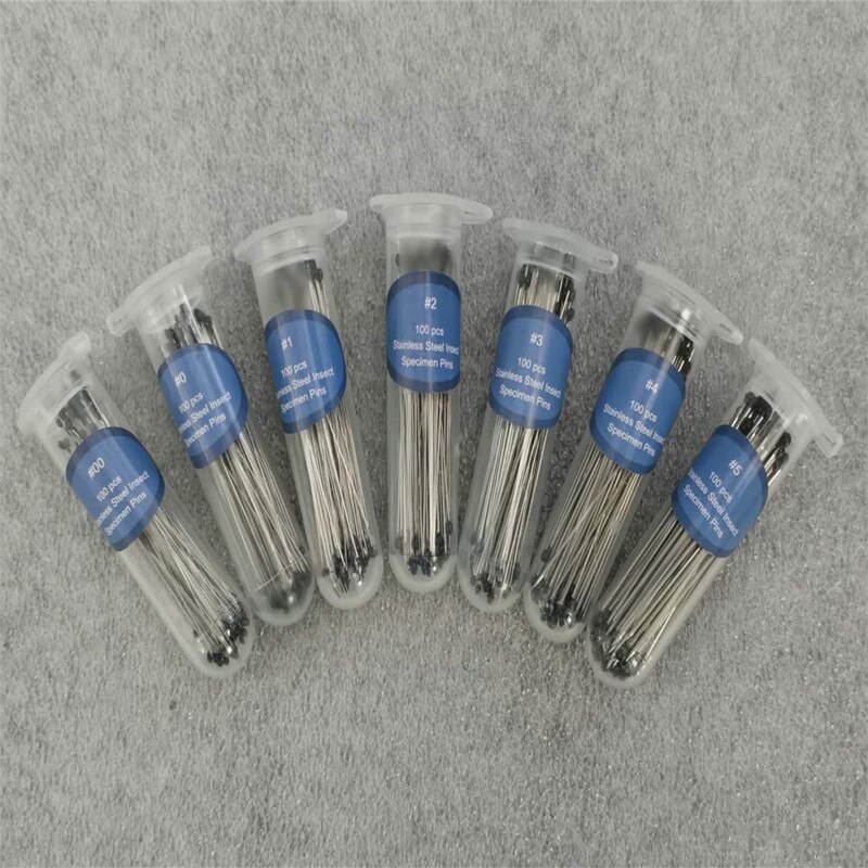100 sztuk igły ze stali nierdzewnej owad szpilki owad igły ze schowkiem robić laboratorium szkolne entomologia ciało sekcja