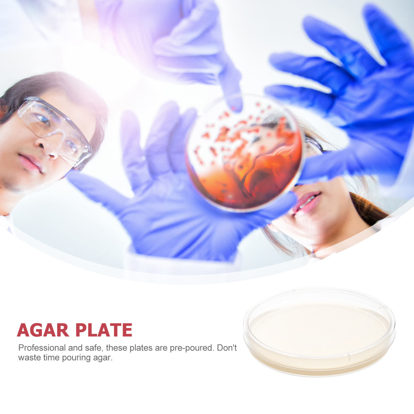 10pcs Pre-Poured Agar Plates Labs Petri Dishes with Agar General Growth Medium