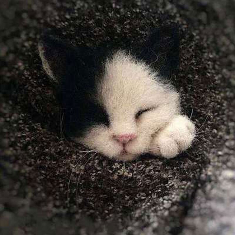 Jiwuo-jouet fait à la main avec dessin animé, renard chiot chat, chien, poupée en feutre avec aiguille, paquet matériel plaqué, bricolage mignon, feutre en laine Animal: 8