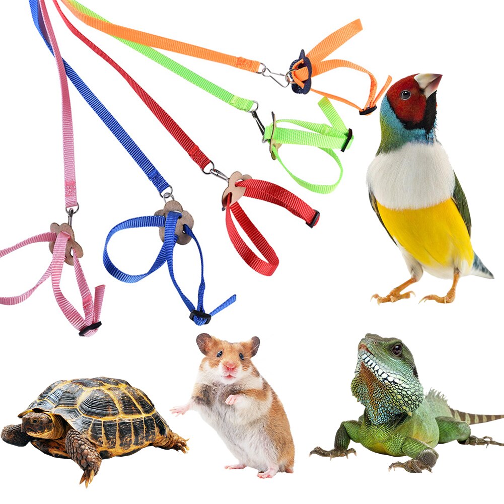 Polyester Adjustable 8shaped Soft Rabbit Harness Leash Guinea Pig Lead Rope Pet Chinchilla Leash Small Pet Traction Rope Running