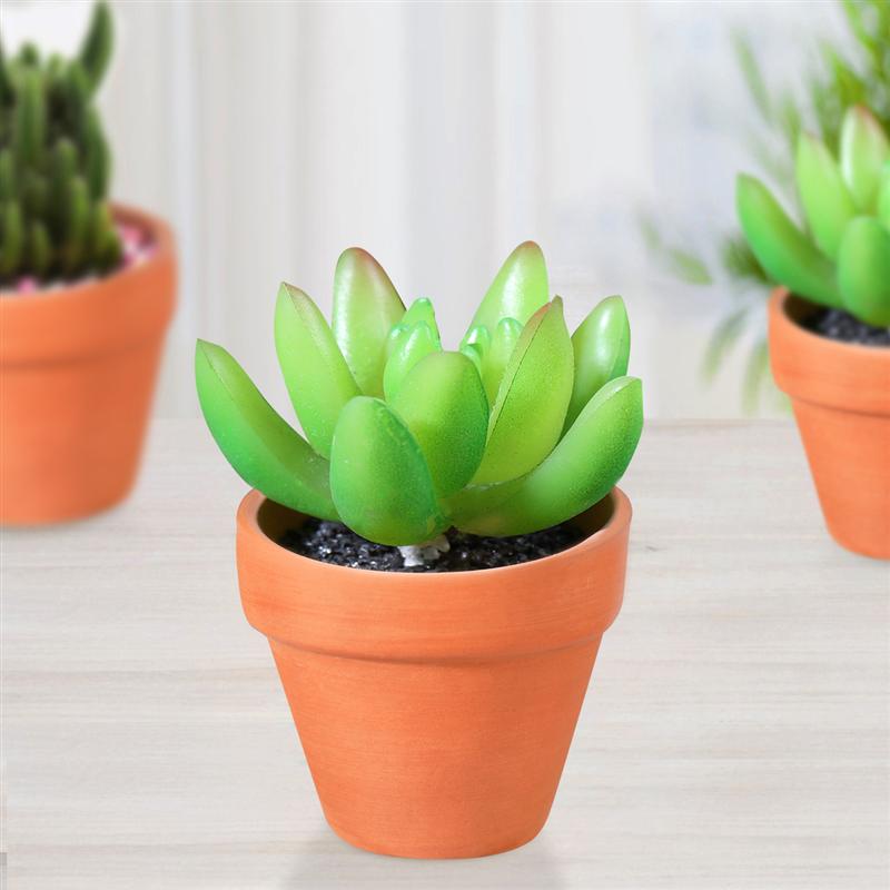 Maceta pequeña de terracota para 20 piezas, cerámica, Cactus, macetas suculentas para guardería, ideal para plantas y manualidades