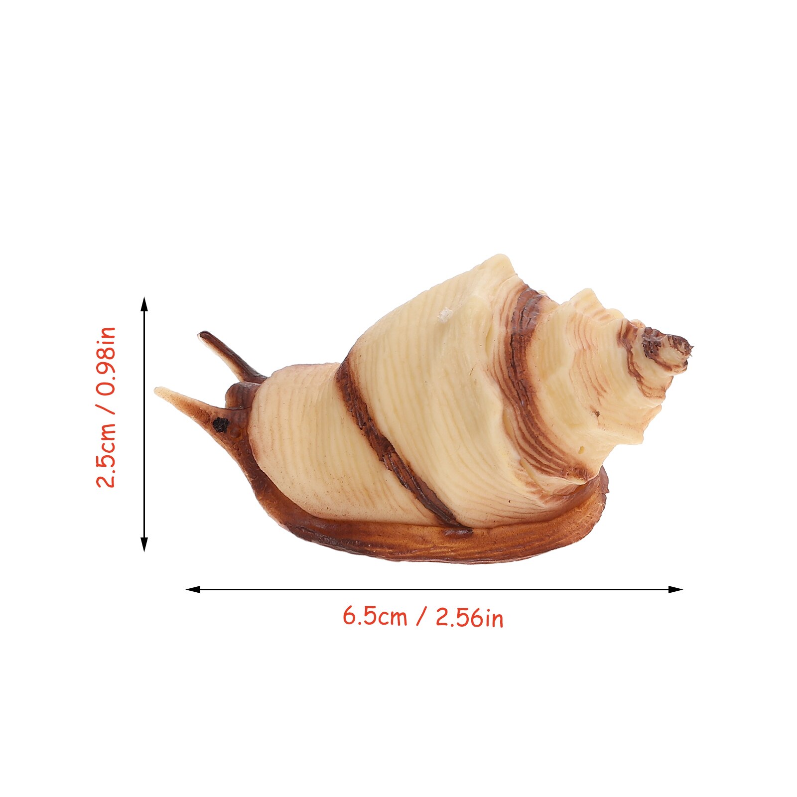 2Pcs Simulated Sea Life Model Vivid Ocean Animal Figurines Realistic Conch Shell Model