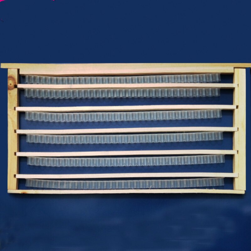 29bee reprodutor rei conjunto completo de ferramentas na abelha especial artificial apicultura caixa de polpa abelha rei vara de transferência insetos rei copo