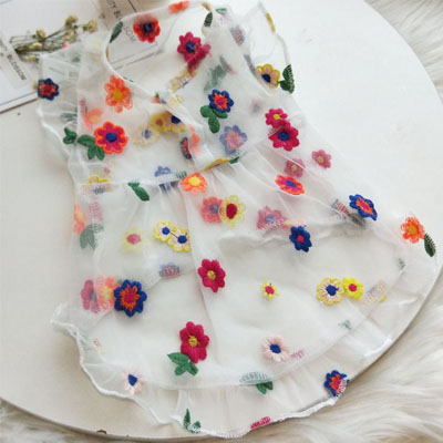 Robe transparente en Tulle pour filles, motif Floral, blanc, manches courtes, chiot, chat, caniche, jupe de princesse, Chihuahua, carlin, été: XL