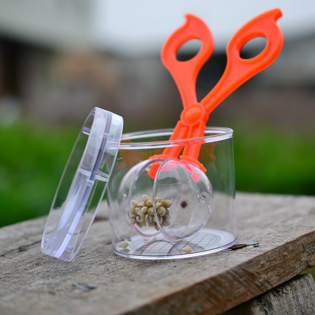 2 Stks/set Bug Insect Observatie Catcher Schaar Tang Pincet Klem Schoonmaken Tool Kids Speelgoed