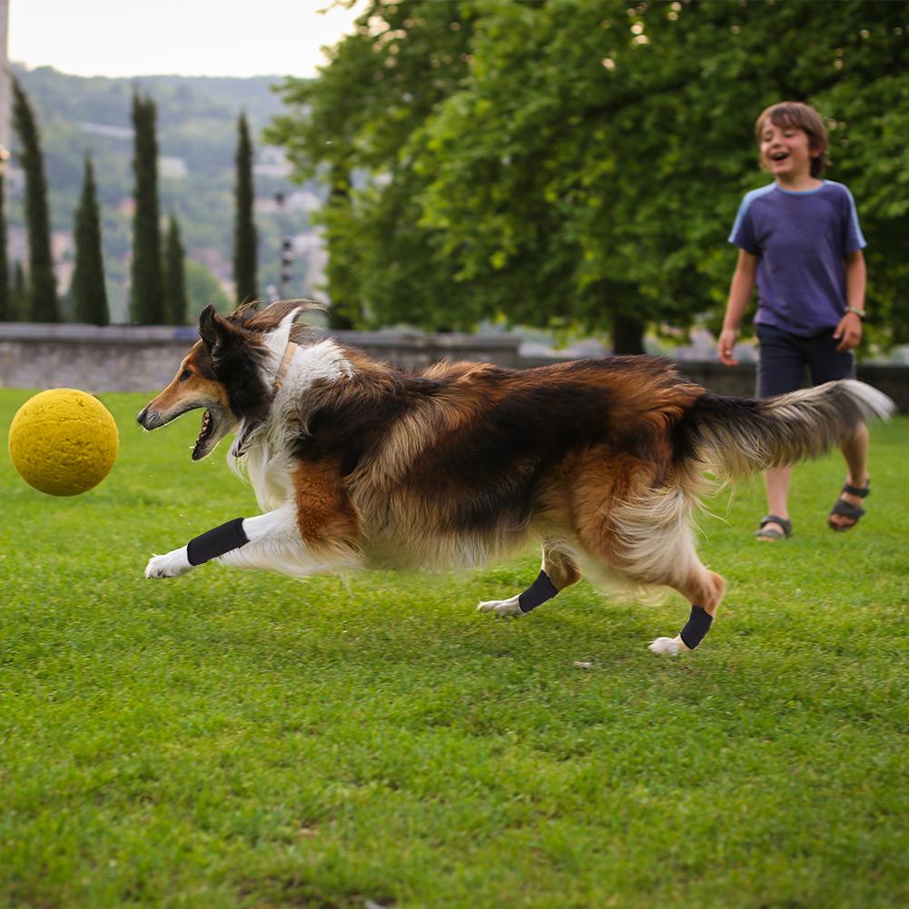 2PCS Pet Elbow Protector Protecting Dog's Leg Dog Surgery Wound Protector Leg Wrap Protects Support Brace Knee Pads