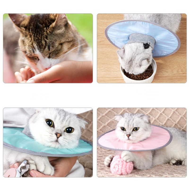 Coleira de cone de gato ajustável, coleira de recuperação de gato após cirurgia, cura de feridas, pescoço de gato, coleira elisabetana para gato gatinho