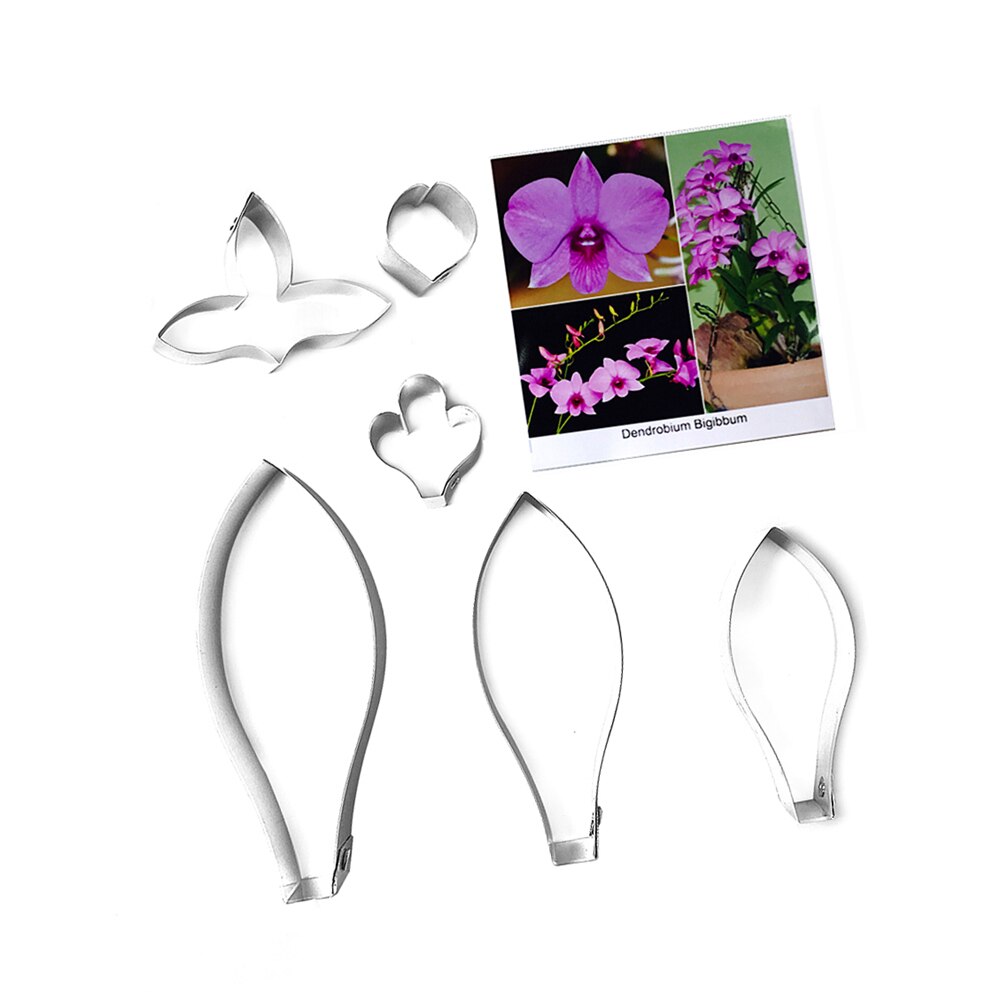 Dendrobium bigibbum fondant suikerbloem uitstekers bakken taartdecoraties polymeerklei koud porselein gumpaste gereedschappen