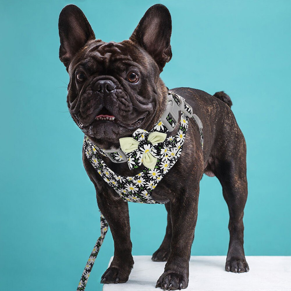 Conjunto de arnés y Collar para Bulldog Francés, arnés para perros sin tirones, correa de chaleco, para perros pequeños, medianos y grandes