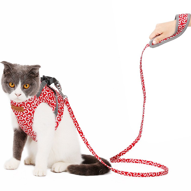 Einstellbare Katze gehen Jacke Weste nutzbar machen Blei Leine für Kleine Mittel Katze Haustier Kragen