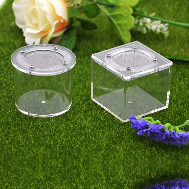 1PCS Acrylic spider box reptile tank song insect box ants farm house