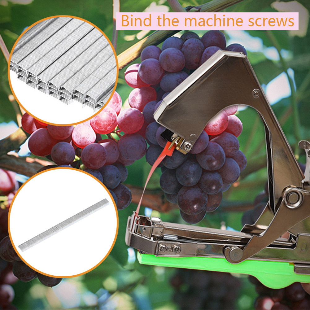 Garten Werkzeuge Strumpfband Pflanzen Pflanze Zweig Hand Binden Bindung Maschine Hackfleisch Gemüse Tapetool Tapener Bänder Heimat Garten