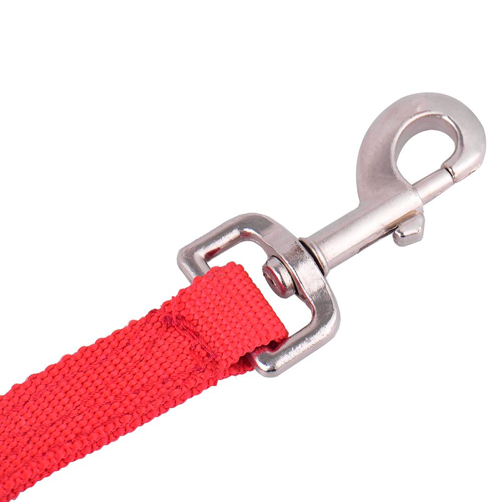 3M Nylon Horse Reins Adjustable Riding Equipment Halter Horse Bridle With Bit Fixed Horse Equestrian Accessories 20E