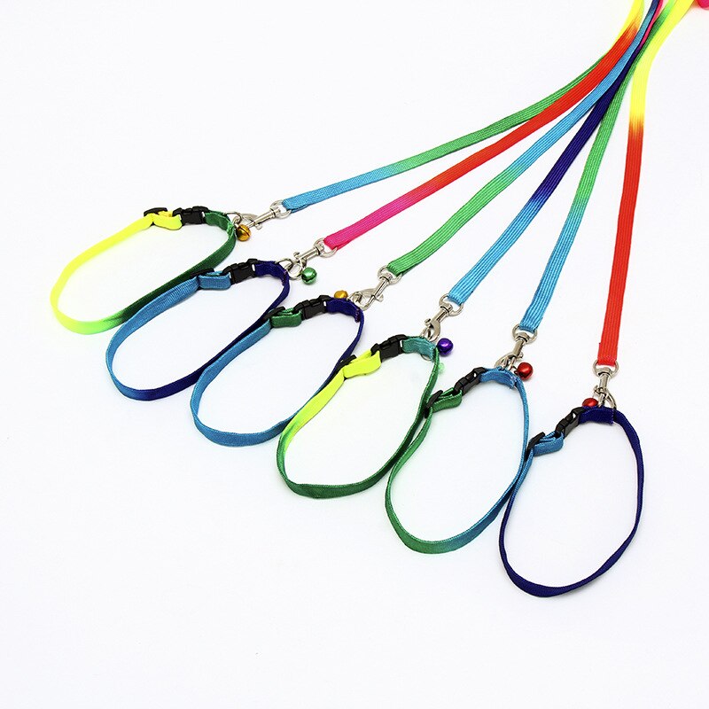 Hond kat harnas riem verstelbaar harnas vest riem halsband puppy kleine hond buiten wandelen chihuahua terier schnauzer