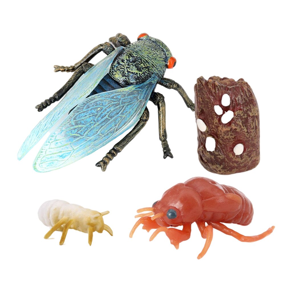 Insect Cicada Lore Life Cycle - 4 Pcs Insect Figure Shows Life of Lady Bug