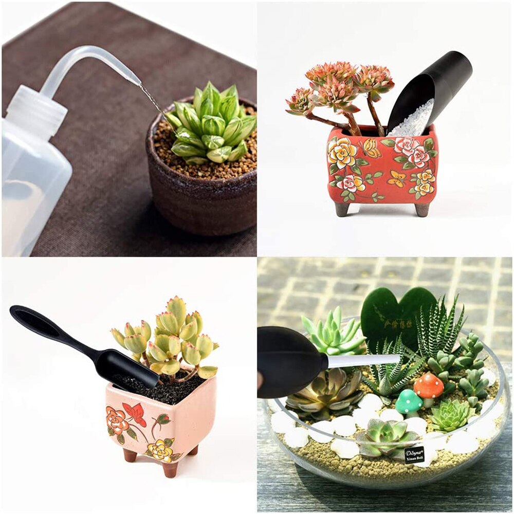 Succulent Plant Tools Mini Garden Hand Tool Set Transplanting Tools Miniature Planting Gardening Tool Set Indoor Miniature Plant