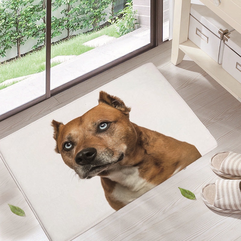 ¡Novedad! Felpudos para puerta de entrada, felpudos con bonito patrón de animales para perros, felpudos a prueba de polvo para sala de estar, decoración del hogar: 3