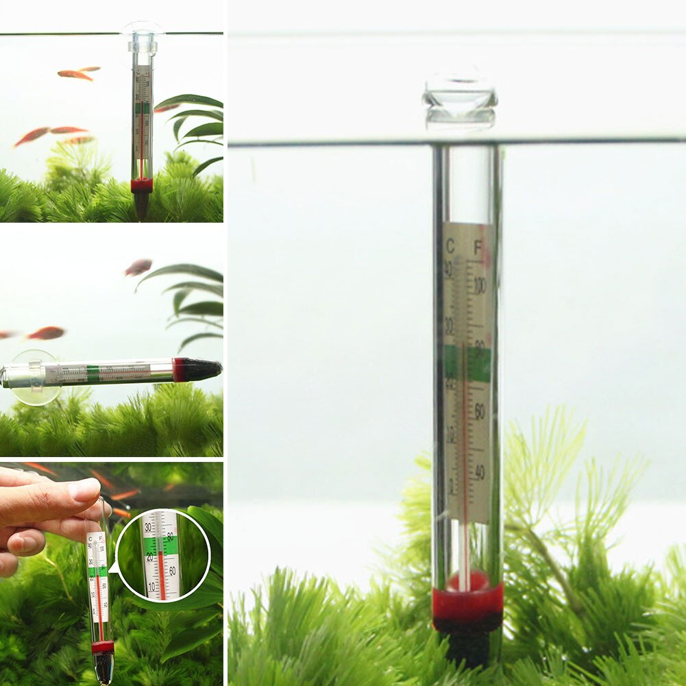 Fish Tank Water Temperature Gauge Aquarium Suction Cup Glass Thermometer