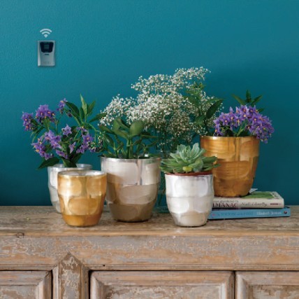 Digital Thermometer and Hygrometer with Remote Sensor Greenhouse Temperature and Humidity Meter Monitoring System Grower&#39;s Edge