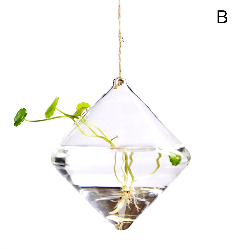 Hanging Transparent Glass Vases Flower Hydroponic Plants Office Home Decoration Terrarium DEC889: B