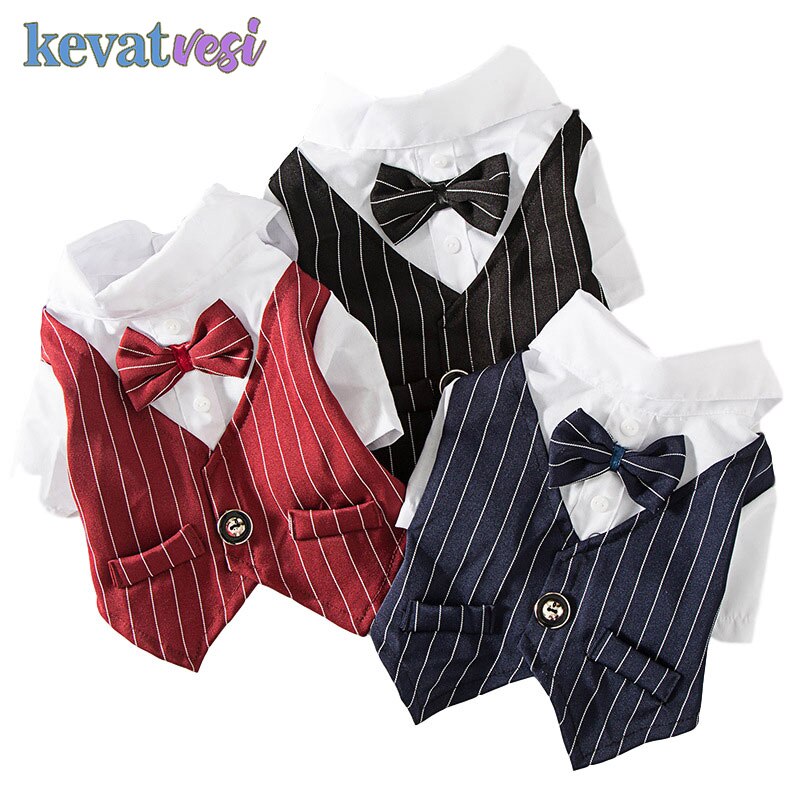 Gentleman chien vêtements rayure chien Costume formel chien chemise avec noeud mariage Costume chiot vêtements animal de compagnie petit chien Costume