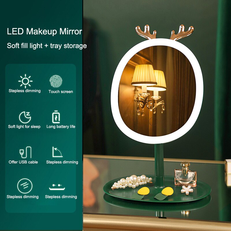 Mirror with light Led Cosmetic Light Makeup Vanity Cabinet Table Mirror Espejos Hand Round Decorative Mirrors Cute espelhos: tray storage 4