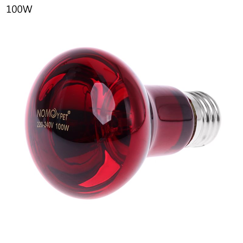 Reptile Amphibian Infrared Heat Bulb Uva Glass Daylight Moonlight Basking Spot