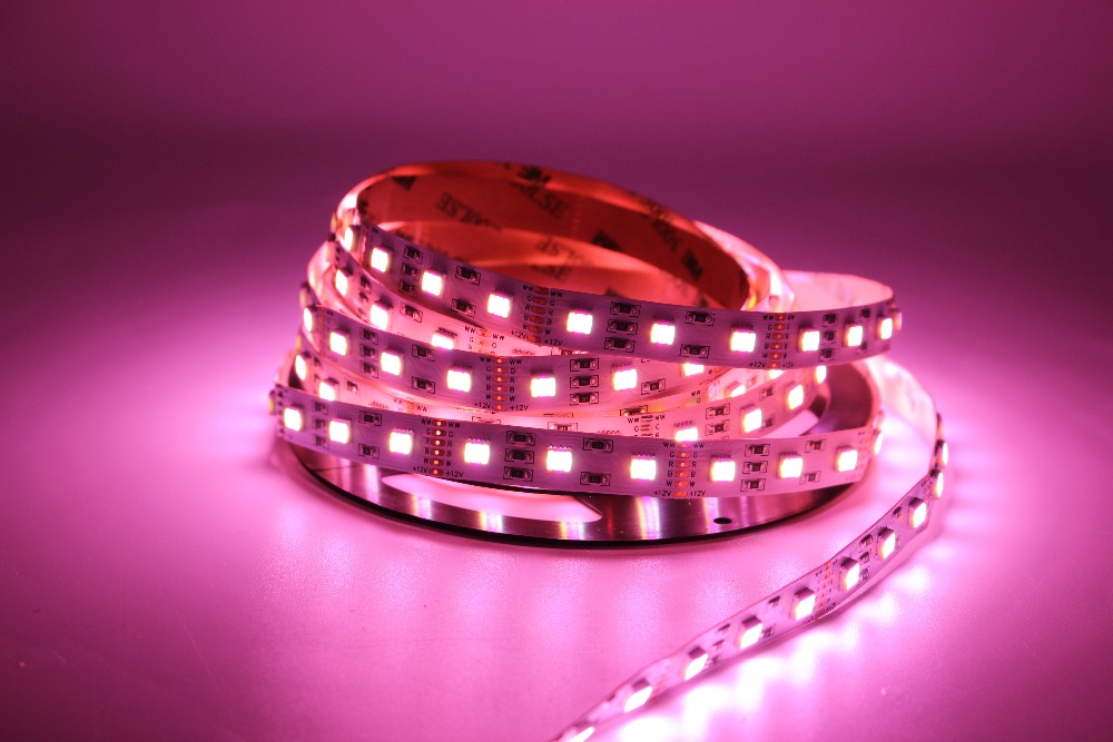 12MM PCB RGB CCT LED Strip 5050 DC12V/24 V Flexibe... – Grandado