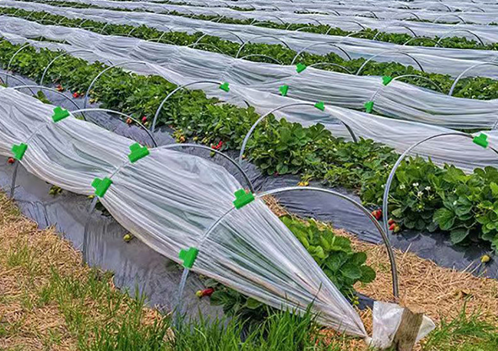 10 Stuks 20 Stuks Kas Die Film Klemmen Tuin Dekzeil Schuur Netting Tunnel Hoepel Klem Plant Ondersteuning Frame Vaste clip