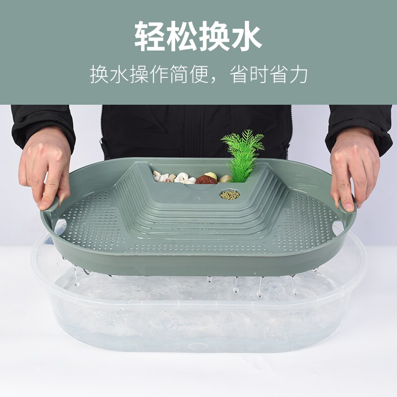 Cylindre d&#39;alimentation pour tortue, Pot domestique, petit et grand réservoir de poisson, boîte d&#39;alimentation pour tortue