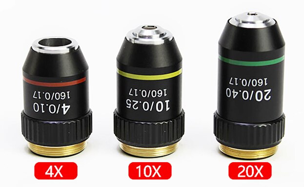 hilo de RMS 160/0 17 4X 10X 20X 40X 60X 100X (aceite) Microscopio biológico de lente de objetivo