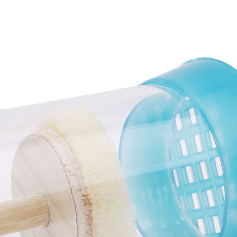 Plastic Bee Marks Beekeeping Bee Tools Marked Bottle Tools Bee Queen Cage Insect Supplies Bee Equipment