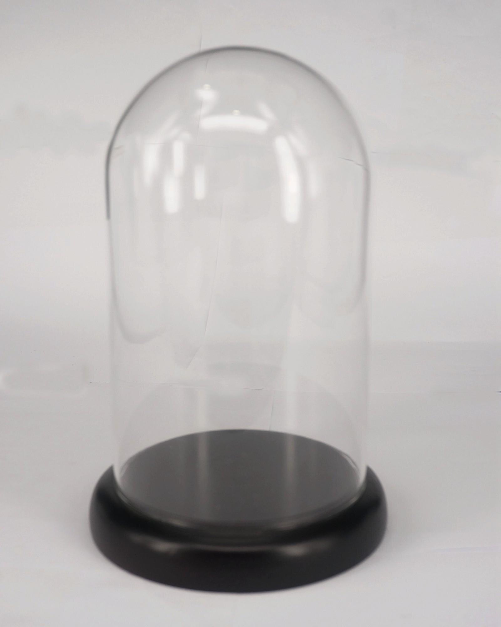 100X160 Mm Vintage Glas Dome Bell Jar Met Donkere Houten Base Etalage Lab Gebruik