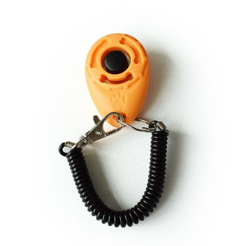 Haustier ausbildung Film katze und hund ausbildung kunststoff werkzeuge stehen-allein Trainer einstellbar Armbinde keychain Haustier Klang ausbildung: Gelb
