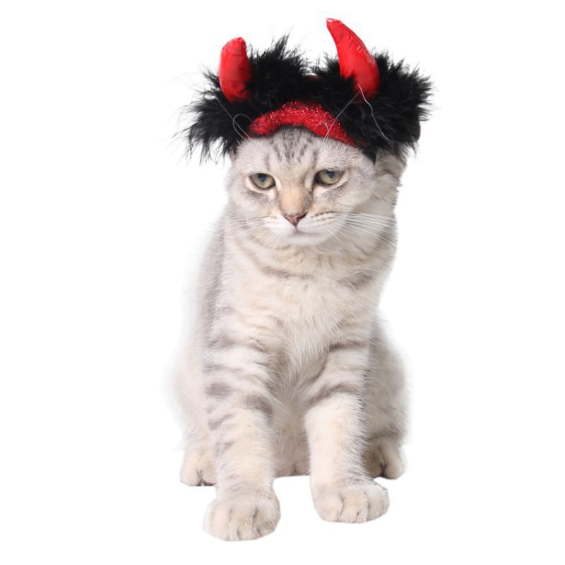 Halloween huisdierbenodigdheden halloween kat hoorn pet vampier kleine duivel volwassen hoorn pet