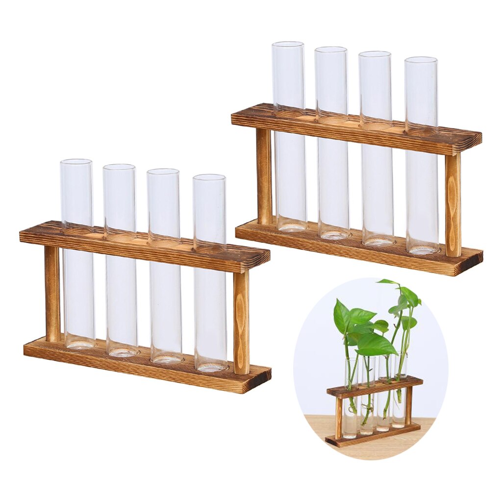 2 stücke Kristall Glas Reagenzglas Anlage Terrariu... Grandado