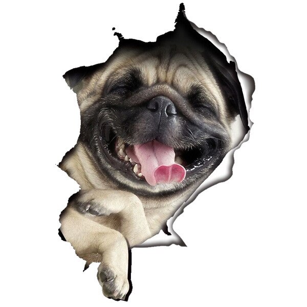 3D Creatieve Kat Hond Gebroken Muur Cartoon Sticker Zelfklevende Waterdicht Decoratie Wc Notebook Sticker: 02