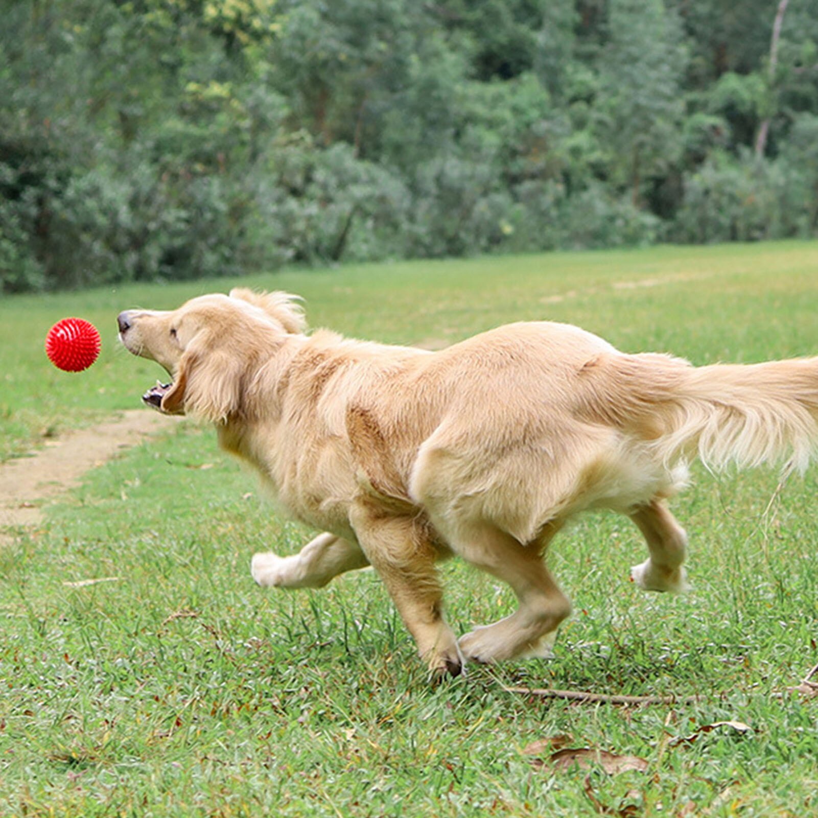 Dog Squeaky Ball Pet Spike Ball Fetch Chewing Ball Teething Toy