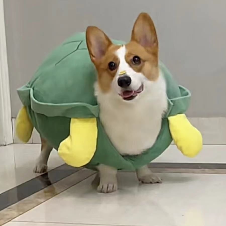 Hund Schildkröte Muschel Kleidung Haustier Herbst und Winter kleiner Hund trägt Teddy Böhmen Höhen Koki Schildkröte Kleidung Halloween Haustier Kostüm: Beige