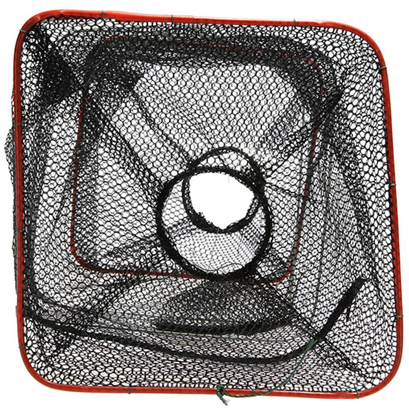 Fishpot Aas Fishpot Paling Pot Coop Vis Val Kleine Fishpot