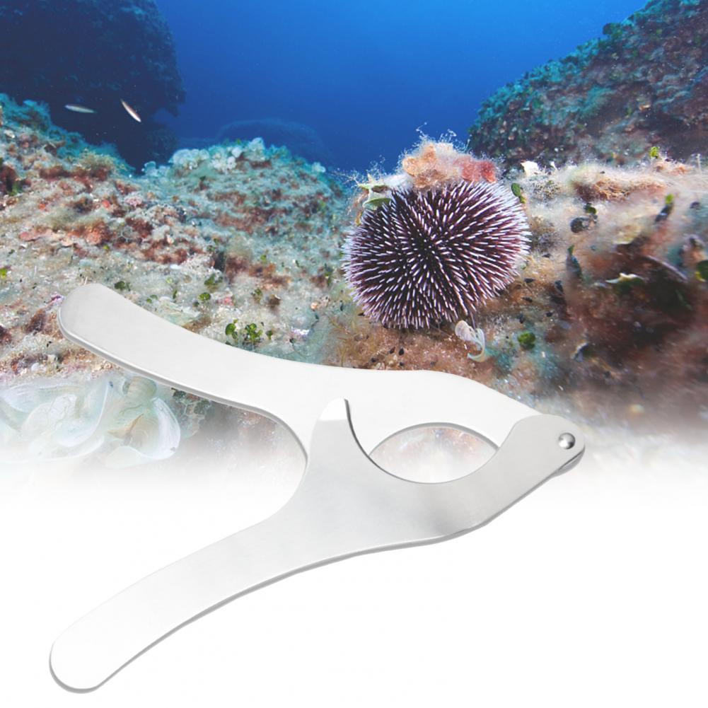 Ciseaux à oursin de mer en acier inoxydable, haute dureté, Anti-déformation, coupe-oursin de mer robuste pour la maison